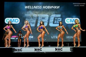 WELLNESS НОВИЧКИ
